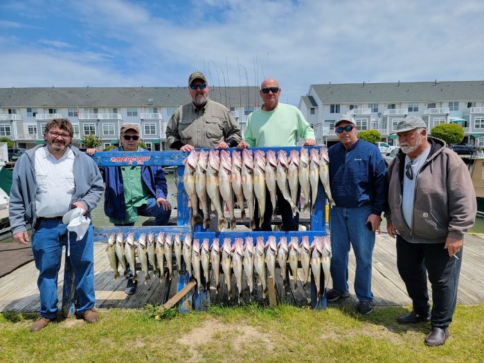 lake-erie-walleye-charters-1-3-people-blue-dolphin-walleye-charters